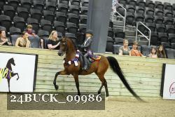 24BUCK_09986 proof