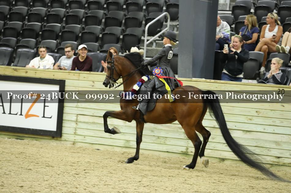 Proof 24BUCK_09992