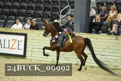 24BUCK_09992 proof