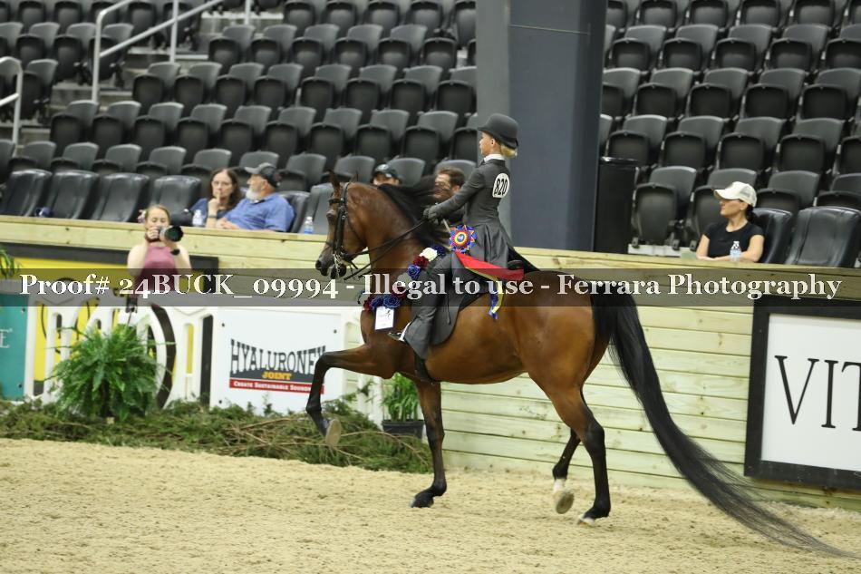 Proof 24BUCK_09994