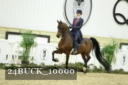 24BUCK_10000 proof
