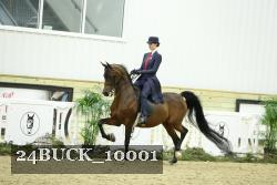 24BUCK_10001 proof