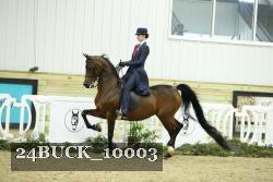 24BUCK_10003 proof