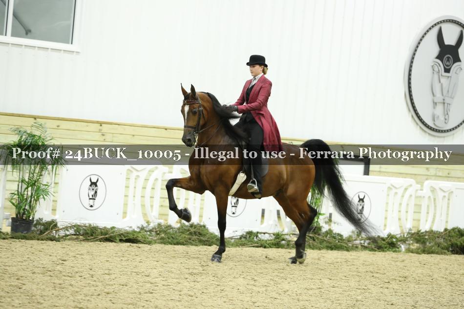Proof 24BUCK_10005