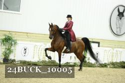 24BUCK_10005 proof