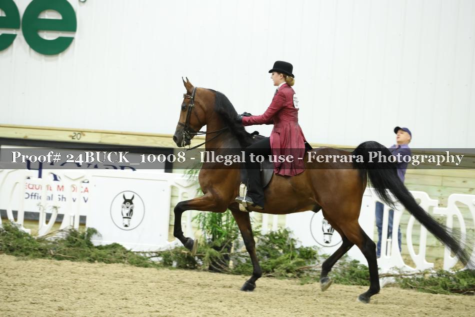 Proof 24BUCK_10008