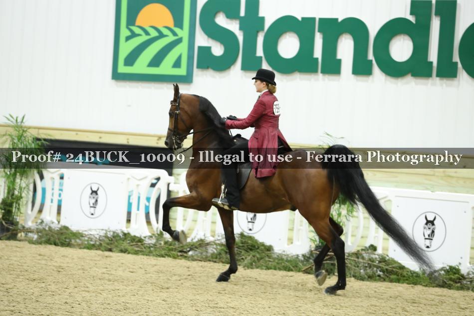 Proof 24BUCK_10009