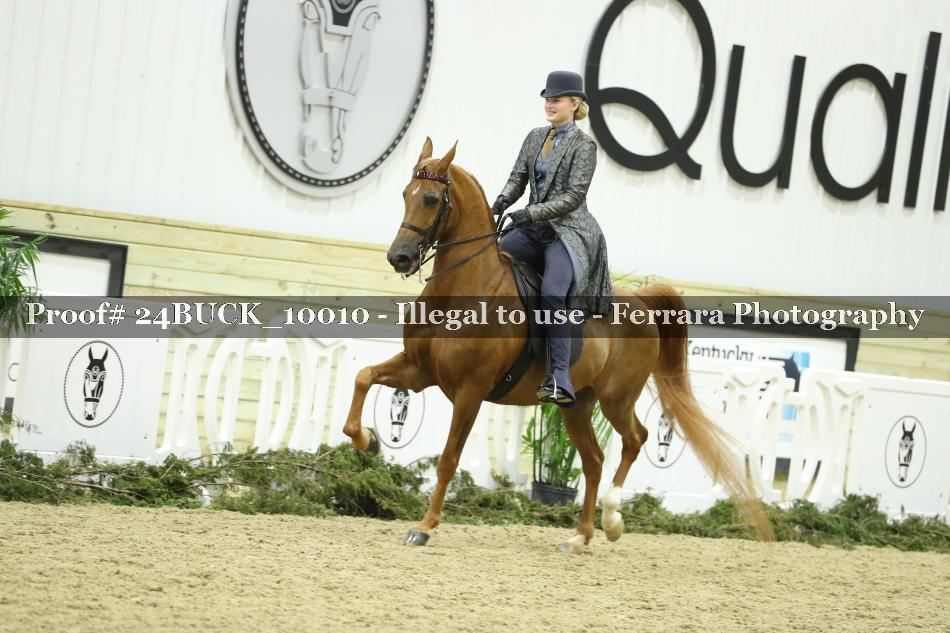 Proof 24BUCK_10010