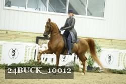 24BUCK_10012 proof