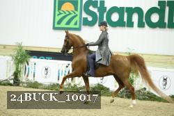 24BUCK_10017 proof
