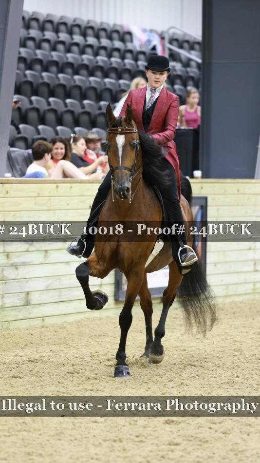 Proof 24BUCK_10018
