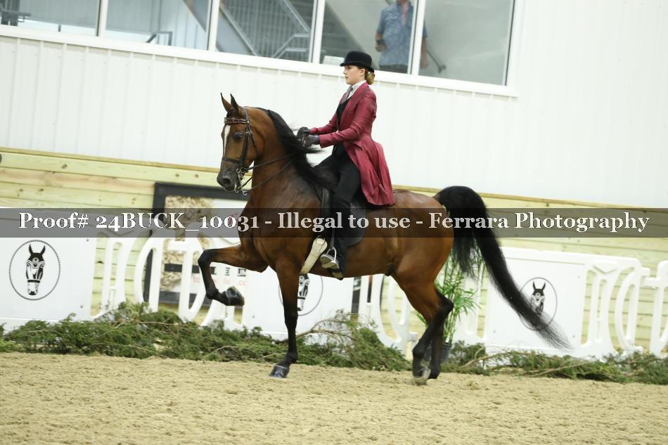Proof 24BUCK_10031