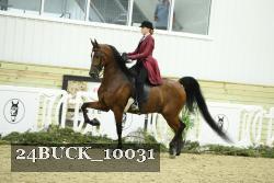 24BUCK_10031 proof