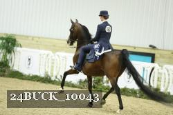 24BUCK_10043 proof