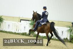 24BUCK_10044 proof