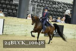 24BUCK_10048 proof