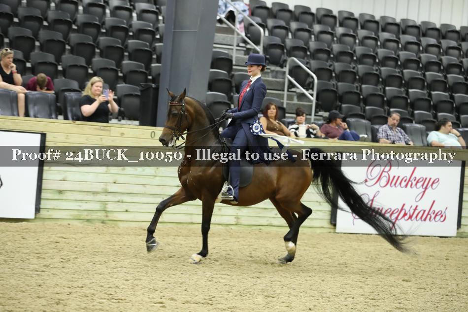 Proof 24BUCK_10050