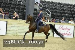 24BUCK_10050 proof