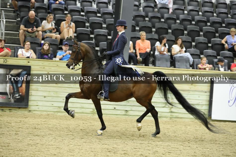 Proof 24BUCK_10053