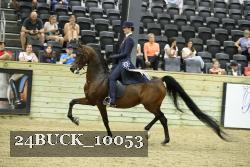 24BUCK_10053 proof