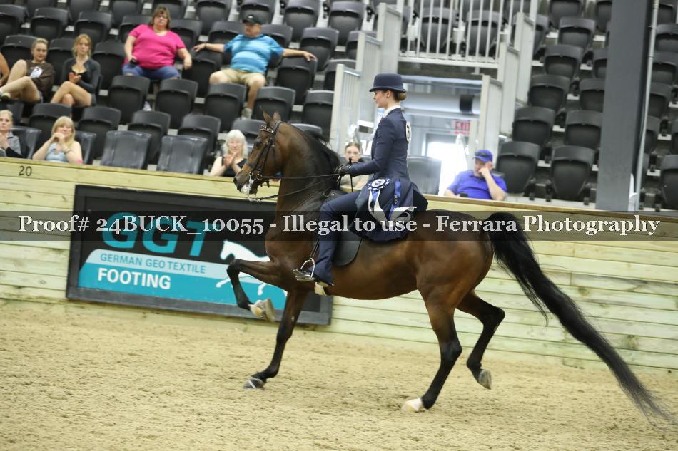 Proof 24BUCK_10055