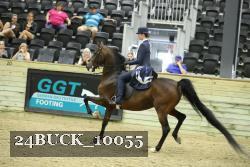 24BUCK_10055 proof