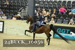 24BUCK_10056 proof