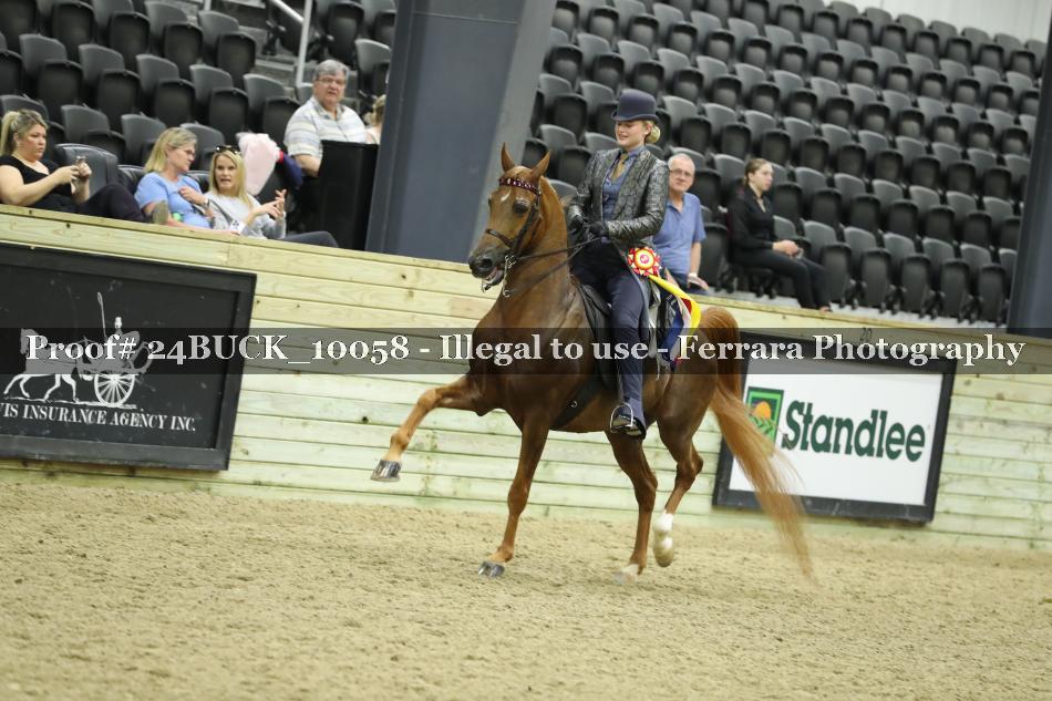 Proof 24BUCK_10058
