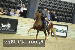 24BUCK_10058 proof
