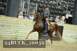 24BUCK_10059 proof