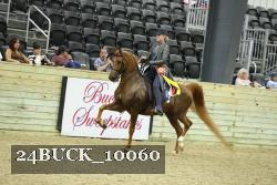 24BUCK_10060 proof