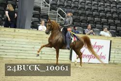 24BUCK_10061 proof