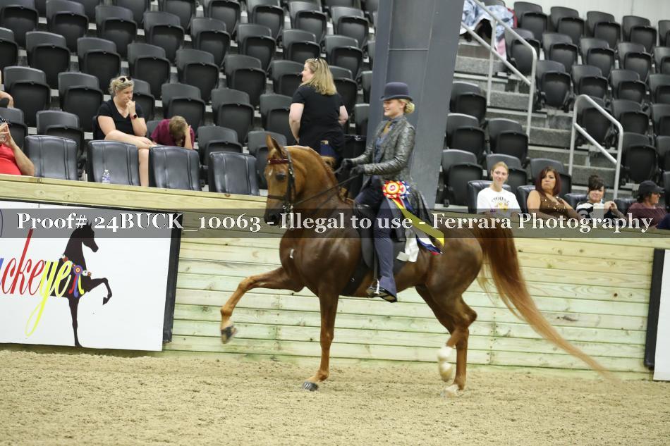 Proof 24BUCK_10063