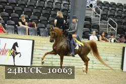 24BUCK_10063 proof