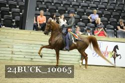 24BUCK_10065 proof