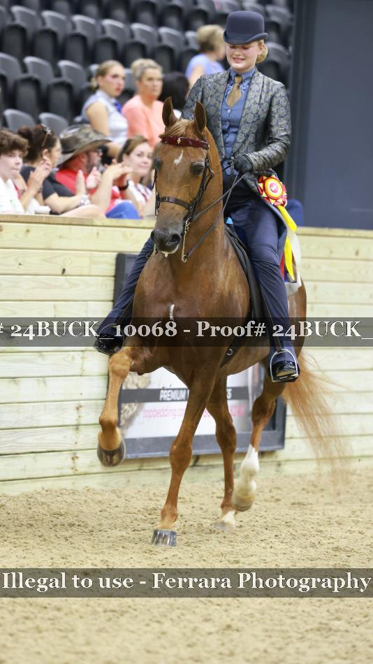 Proof 24BUCK_10068
