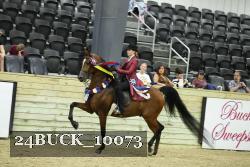 24BUCK_10073 proof