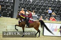 24BUCK_10077 proof