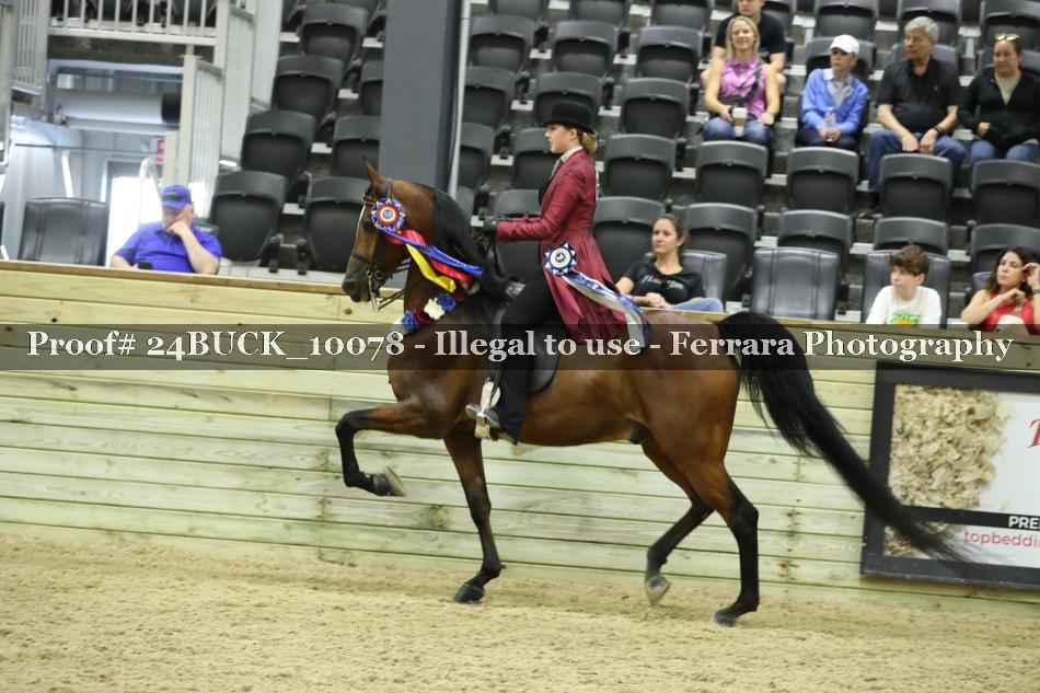 Proof 24BUCK_10078