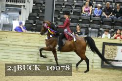 24BUCK_10078 proof