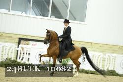 24BUCK_10082 proof