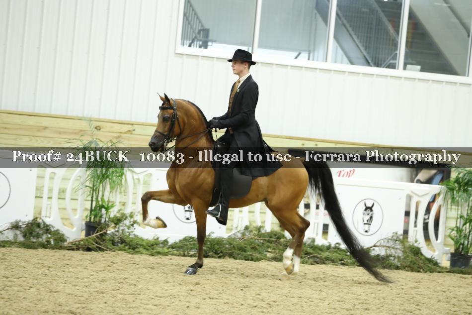 Proof 24BUCK_10083