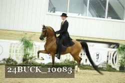24BUCK_10083 proof
