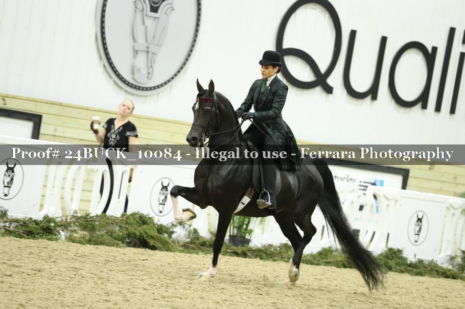 Proof 24BUCK_10084