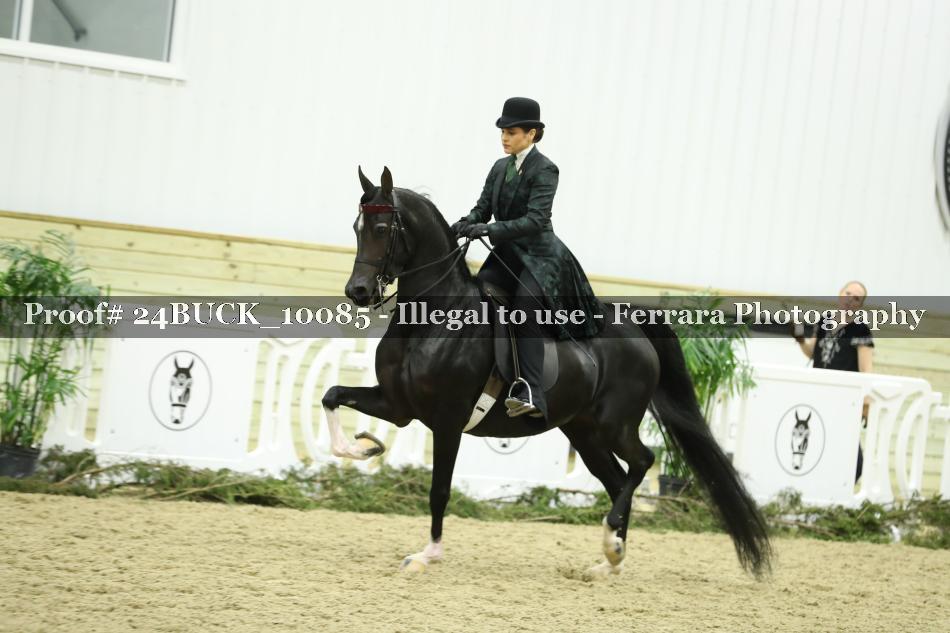 Proof 24BUCK_10085