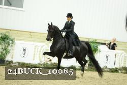 24BUCK_10085 proof