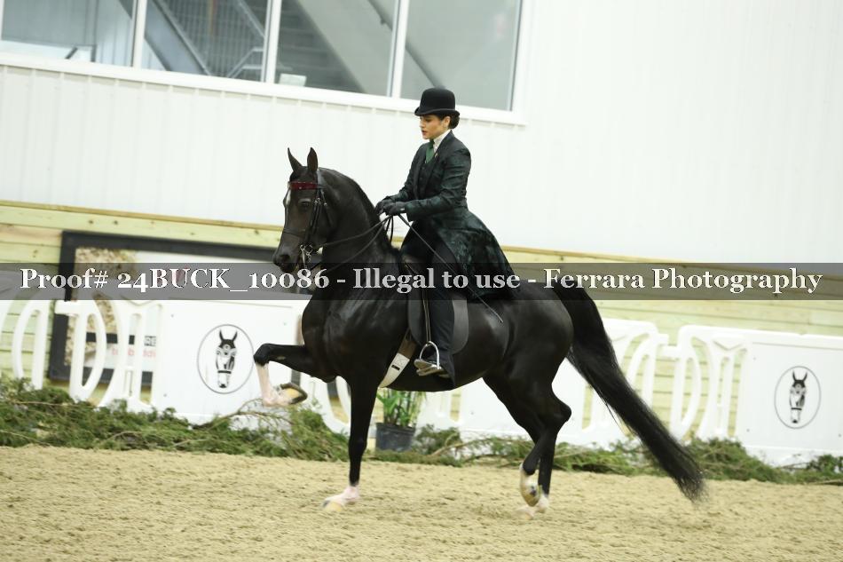 Proof 24BUCK_10086