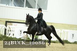 24BUCK_10086 proof