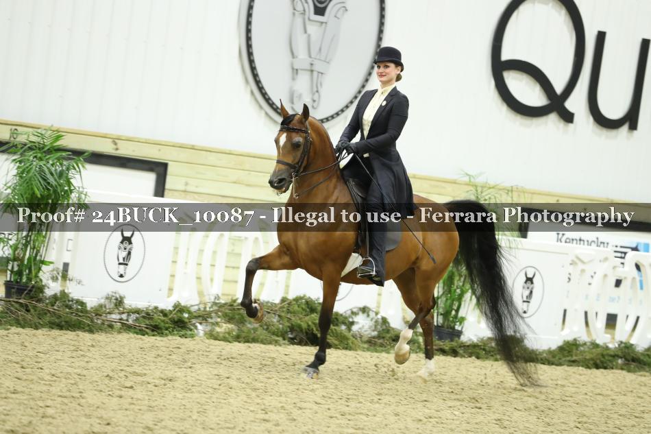 Proof 24BUCK_10087