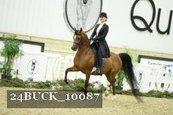 24BUCK_10087 proof